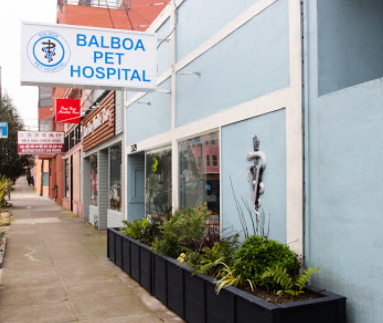 Balboa Pet Hospital photo