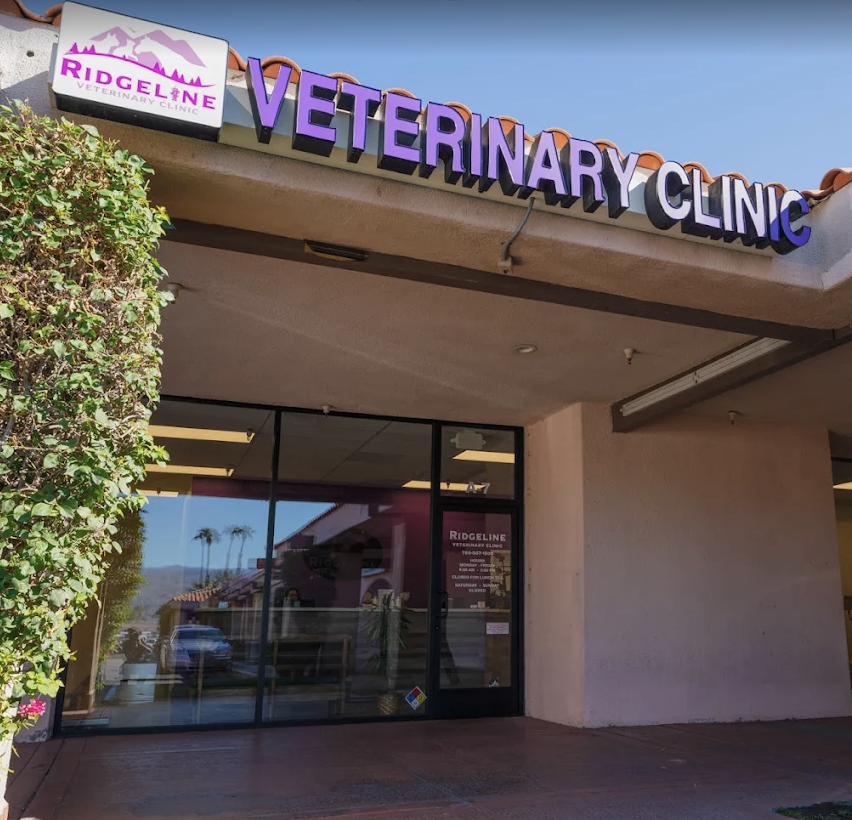 Ridgeline Veterinary Clinic photo
