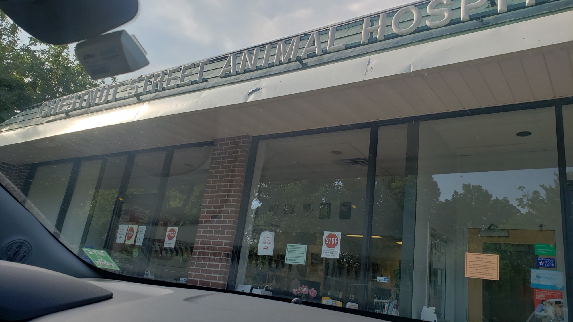 Chestnut Street Animal Hospital photo