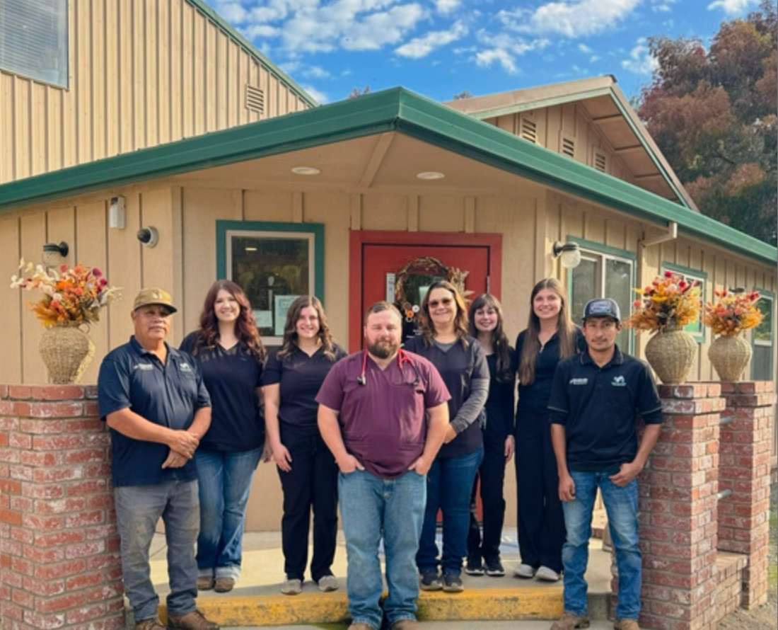 Badger Creek Veterinary Clinic  photo