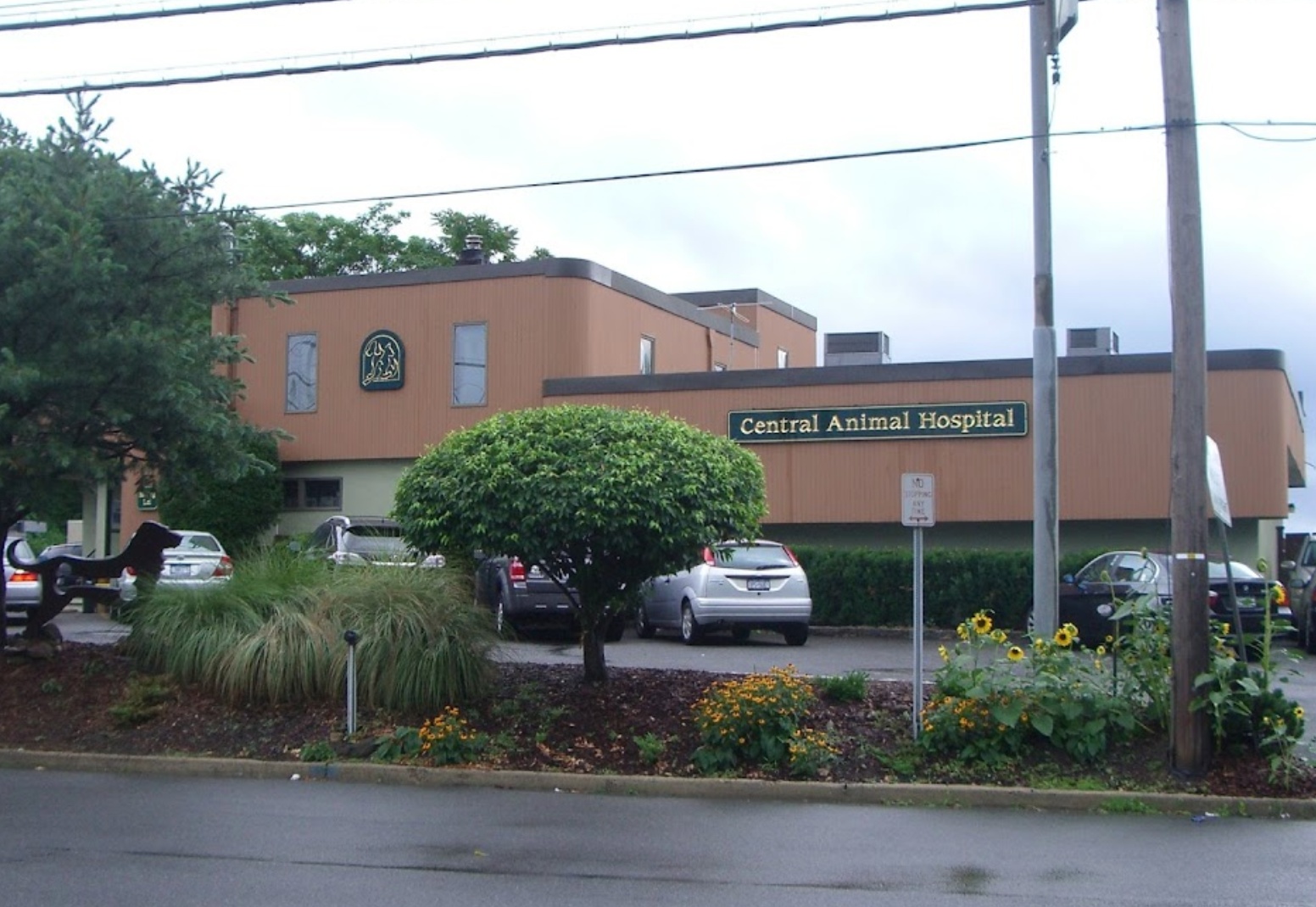 Central Animal Hospital  photo