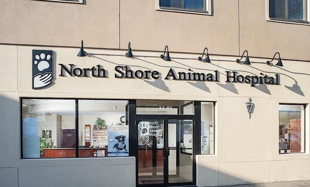 North Shore Animal Hospital photo