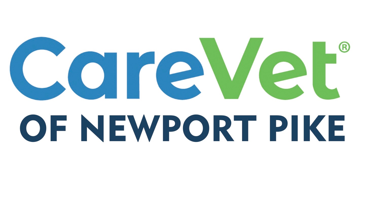 CareVet of Newport Pike photo