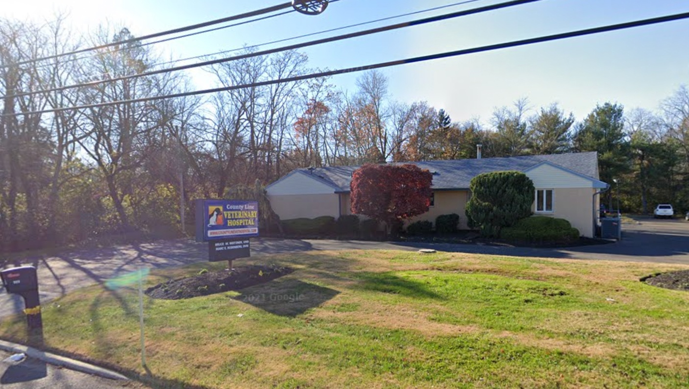 County Line Veterinary Hospital photo