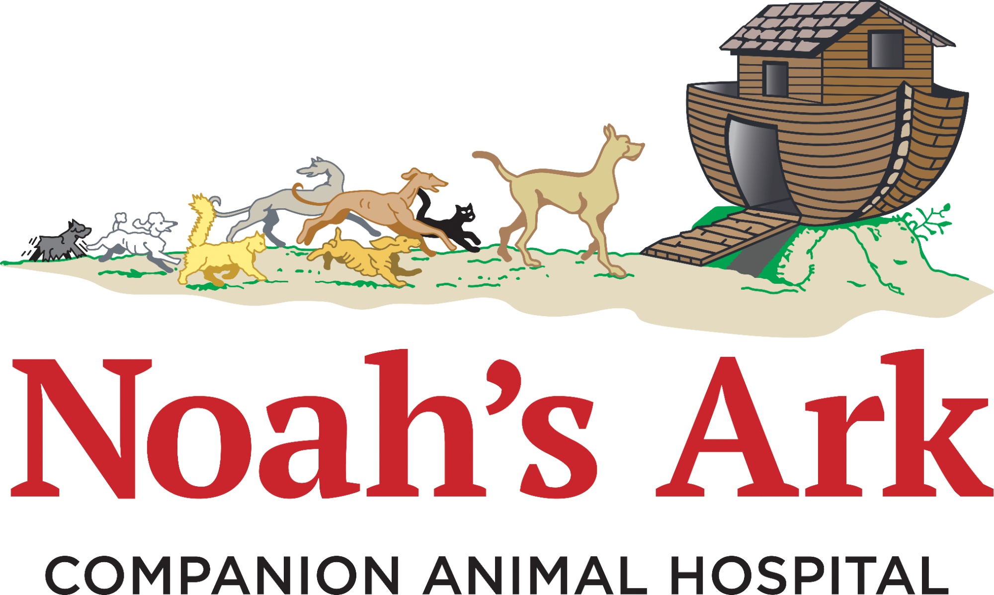 Noah's Ark Companion Animal Hospital photo