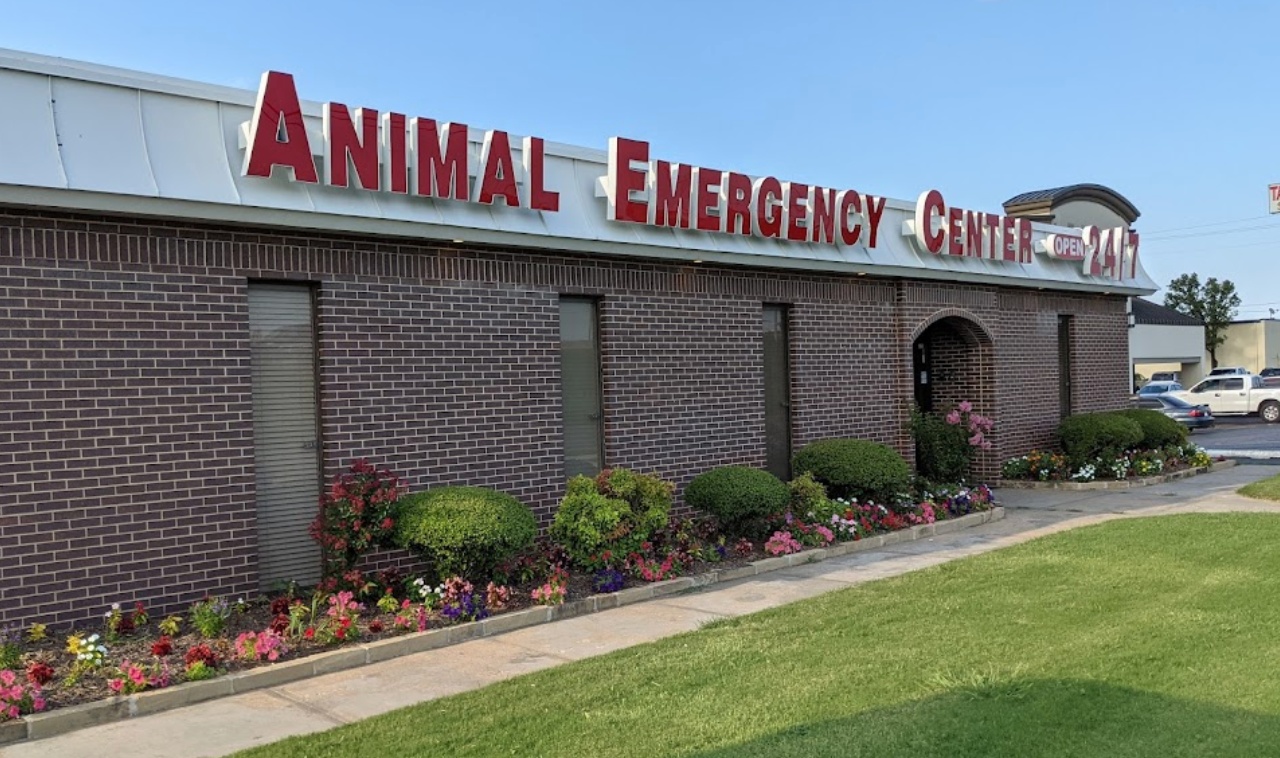 Animal Emergency Center photo