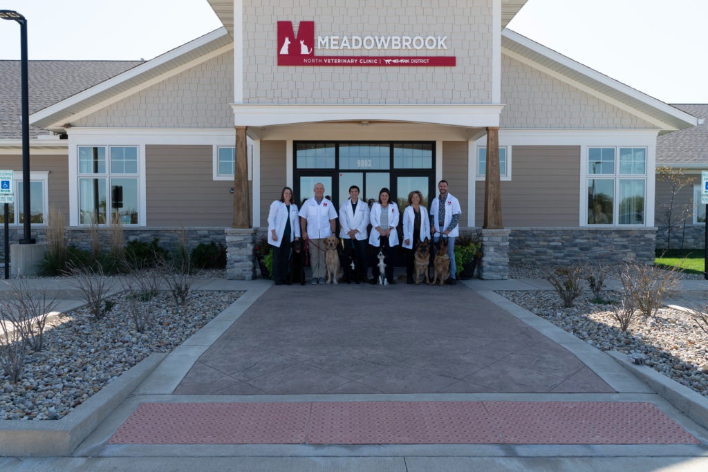 Meadowbrook Veterinary Clinic  photo