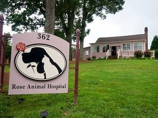 Rose Animal Hospital photo