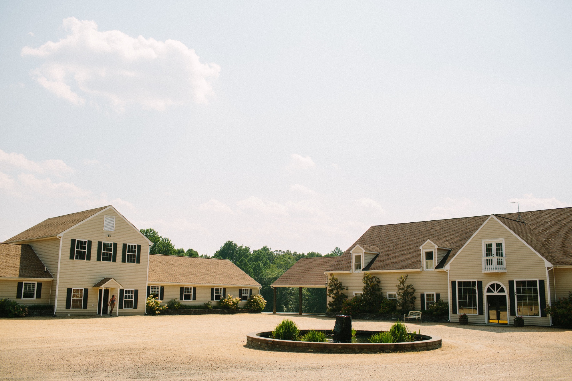 Blue Ridge Equine Clinic photo