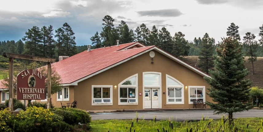 San Juan Veterinary Clinic photo