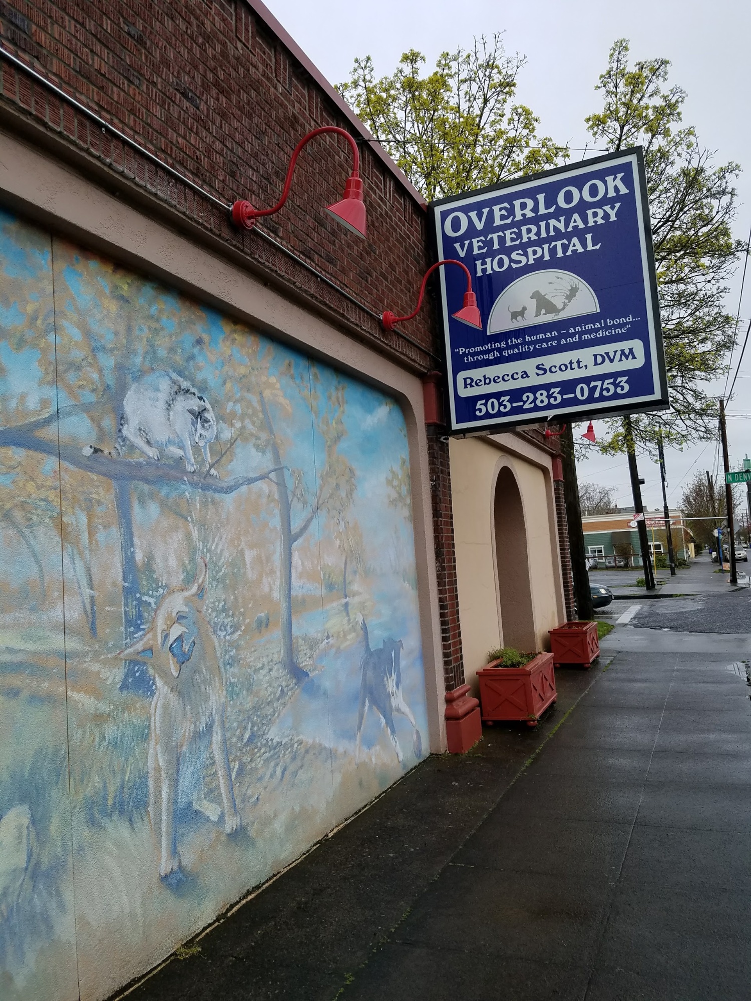Overlook Veterinary Hospital photo