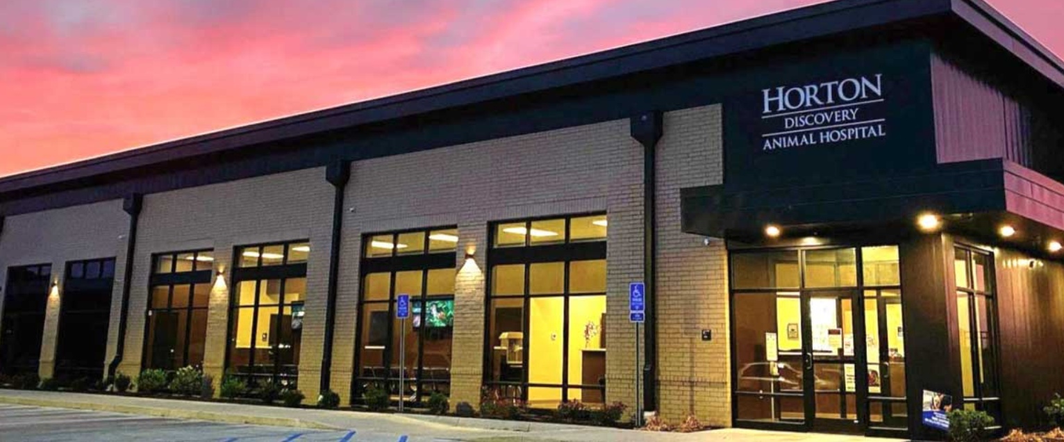 Horton Animal Hospital Discovery  photo