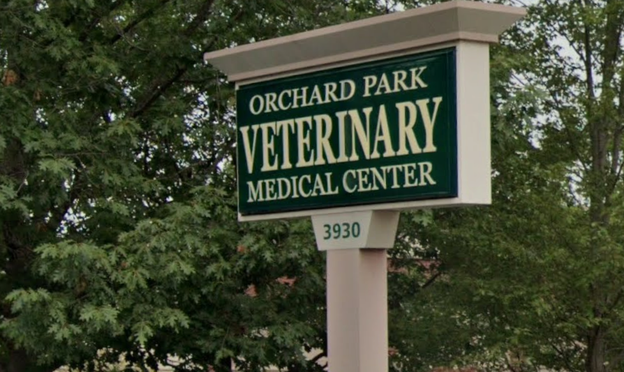 Licensed Veterinary Technician
