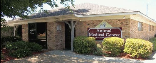 Animal Medical Center of Brookhaven photo