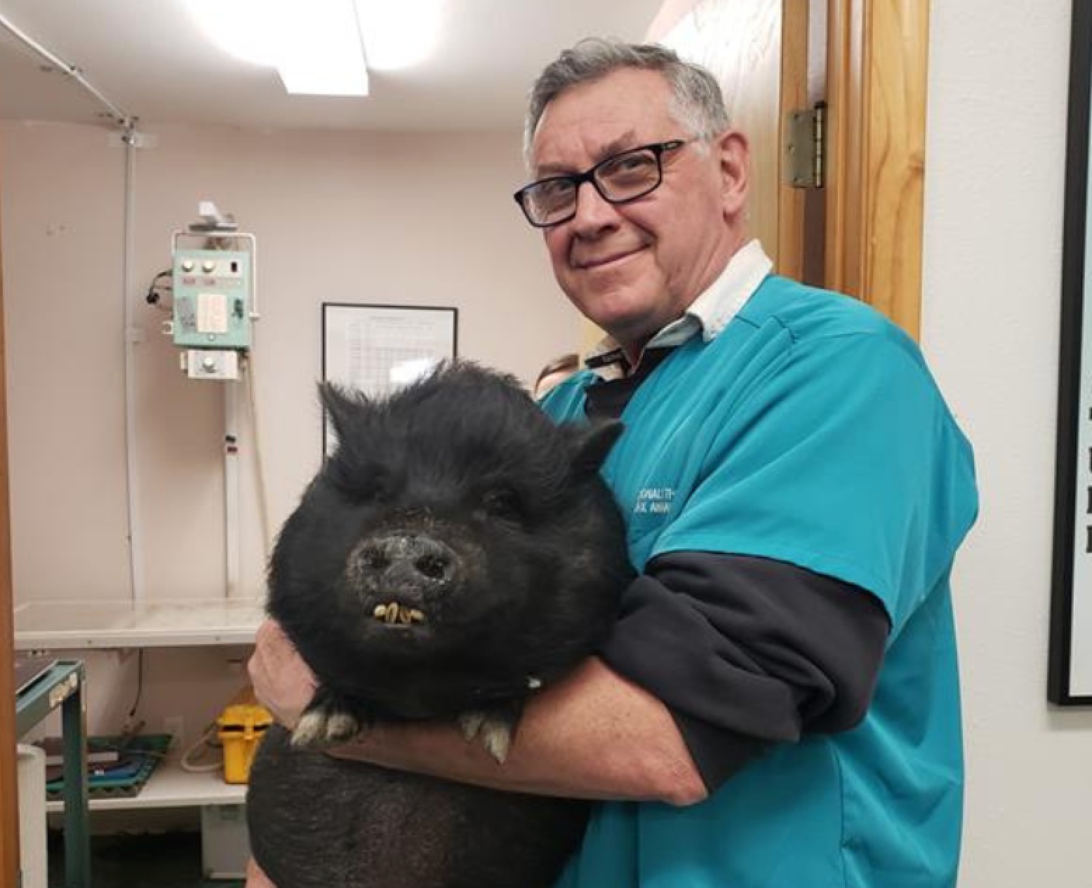 Elk Park Animal Hospital photo