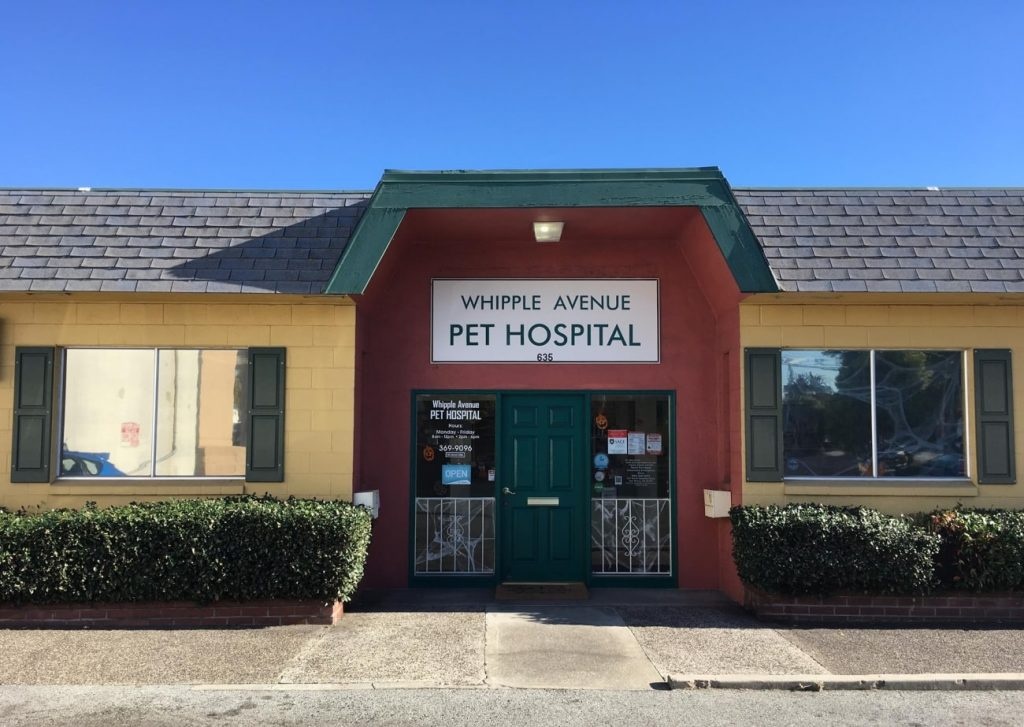 Whipple Avenue Pet Hospital photo
