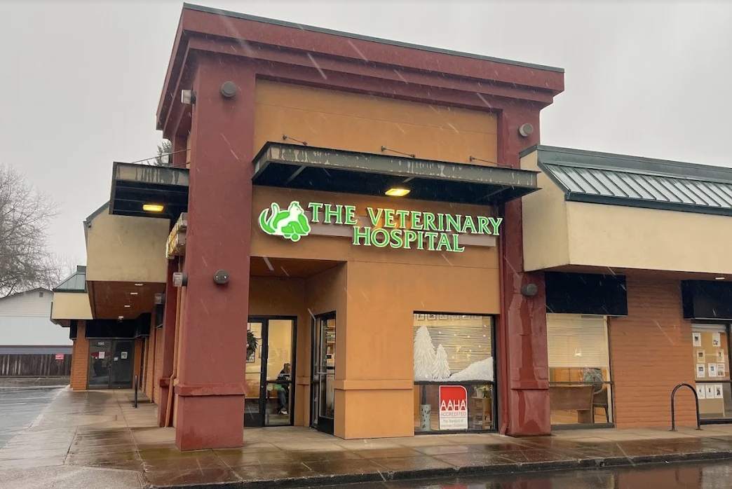 The Veterinary Hospital photo