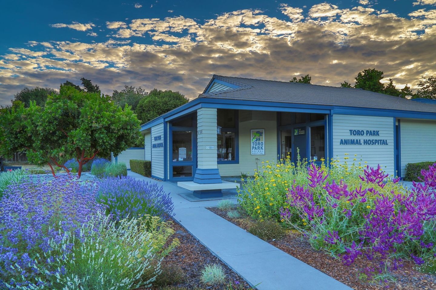 Toro Park Animal Hospital photo