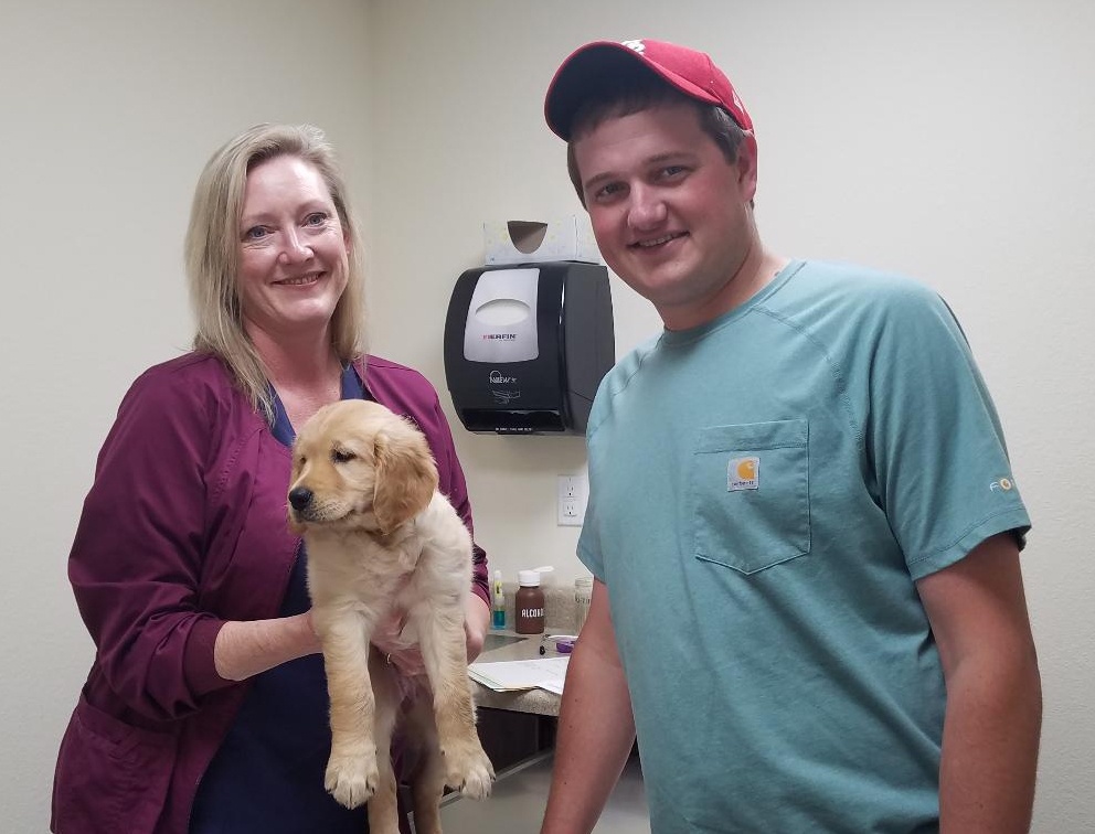 Flora Veterinary Clinic photo