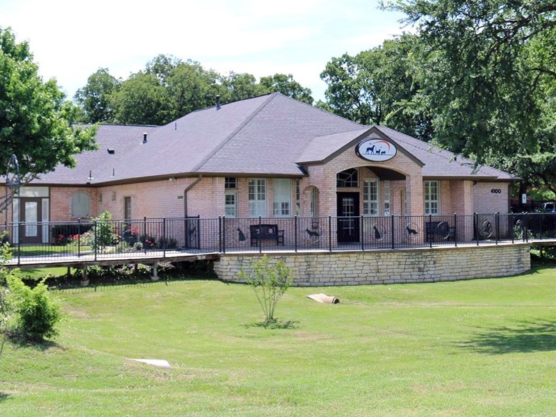 Main Street Veterinary Hospital and Dental Clinic photo