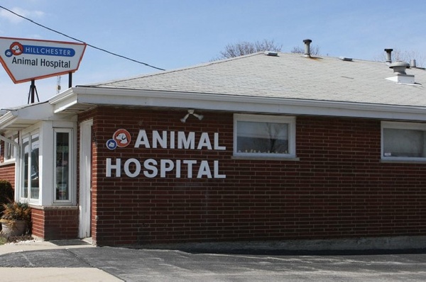 Hillchester Animal Hospital photo