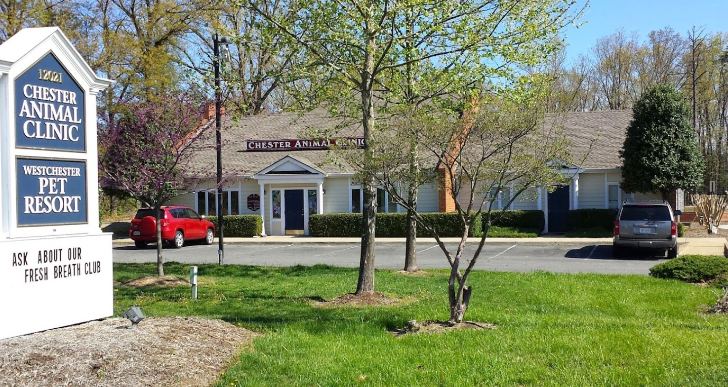 Chester Animal Clinic photo
