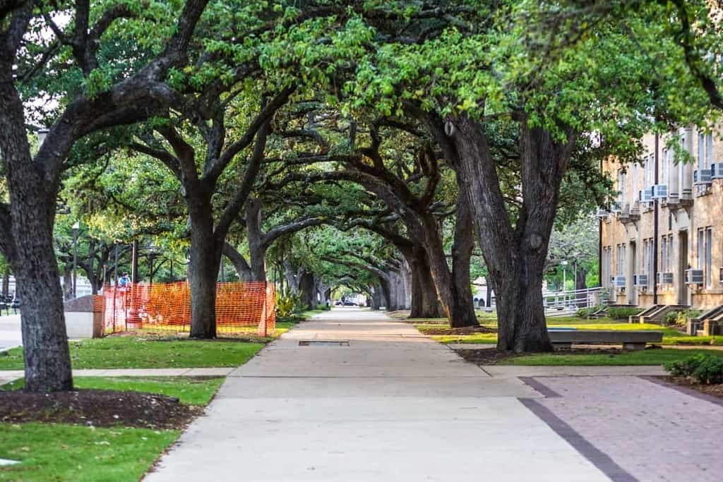 College Station, TX photo
