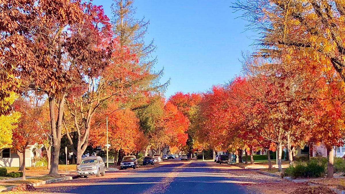 Modesto, CA photo