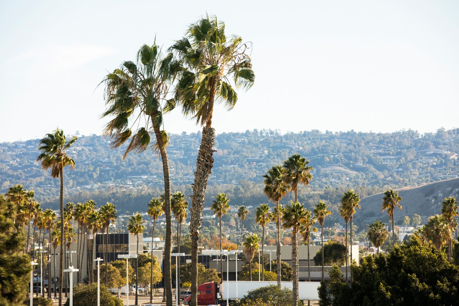 Torrance, CA photo