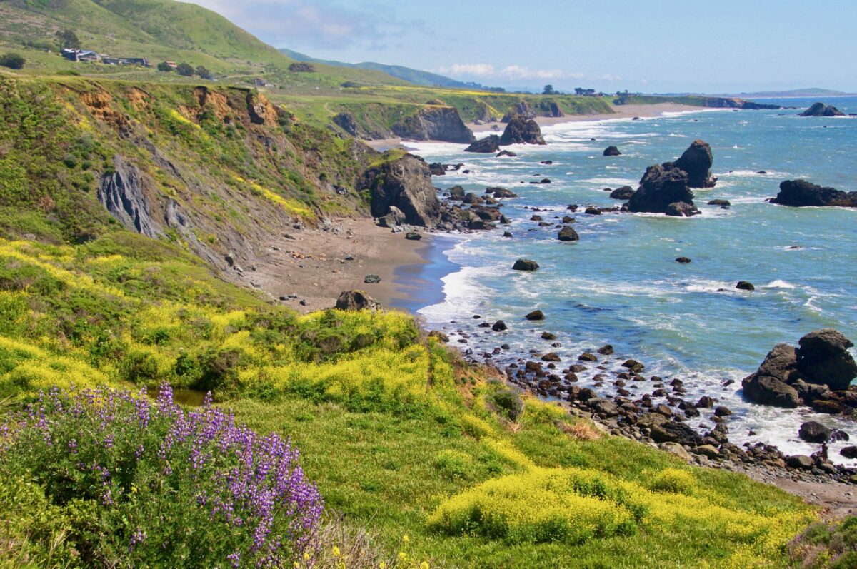 Sonoma County, CA photo