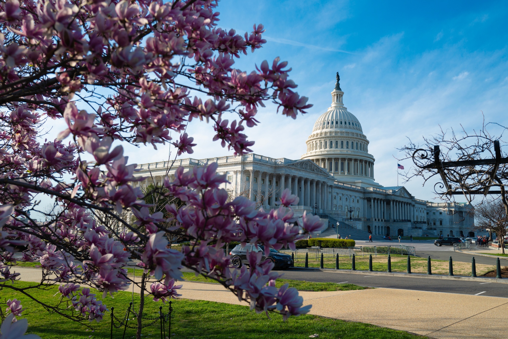 Washington D.C. photo