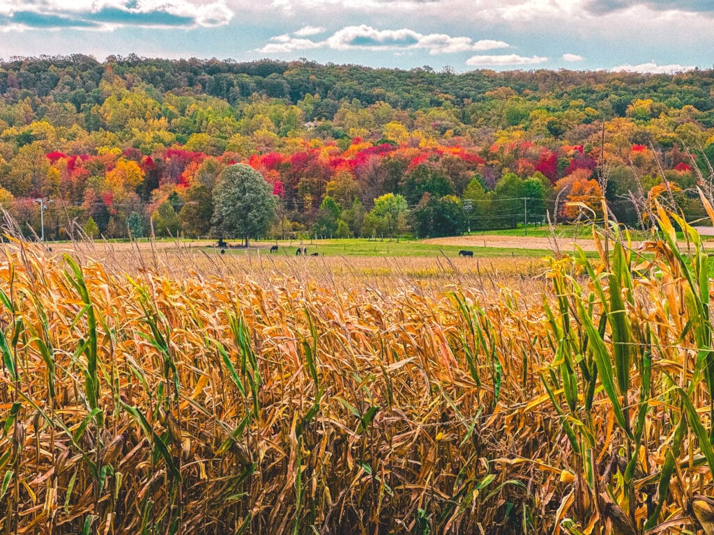 Lancaster, PA photo