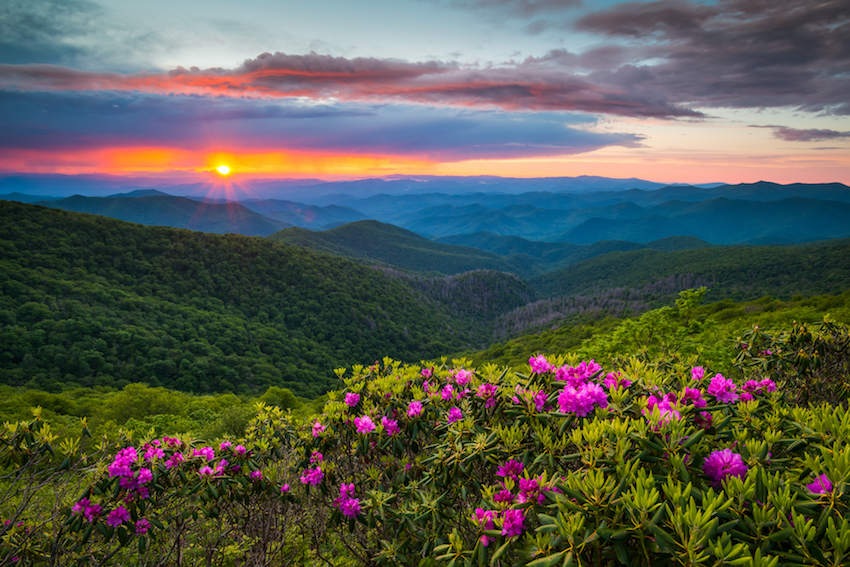 Asheville, NC photo