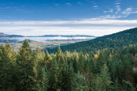 Springfield, OR photo