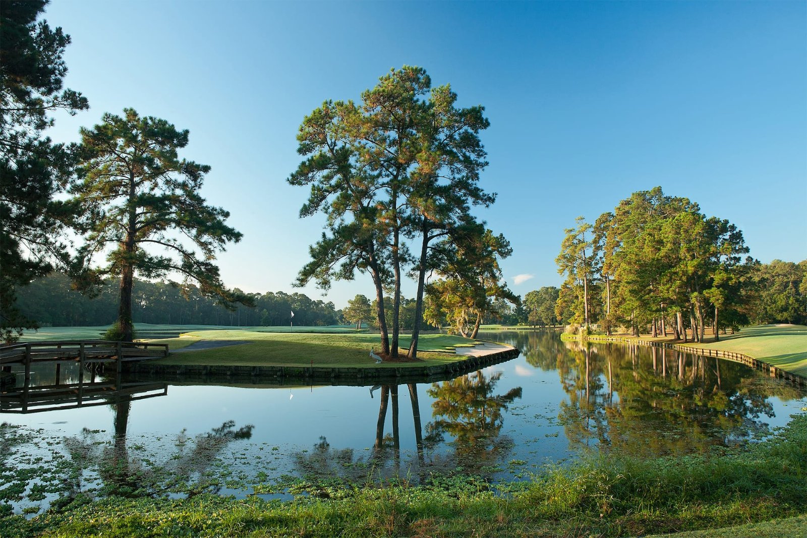 Kingwood, TX photo