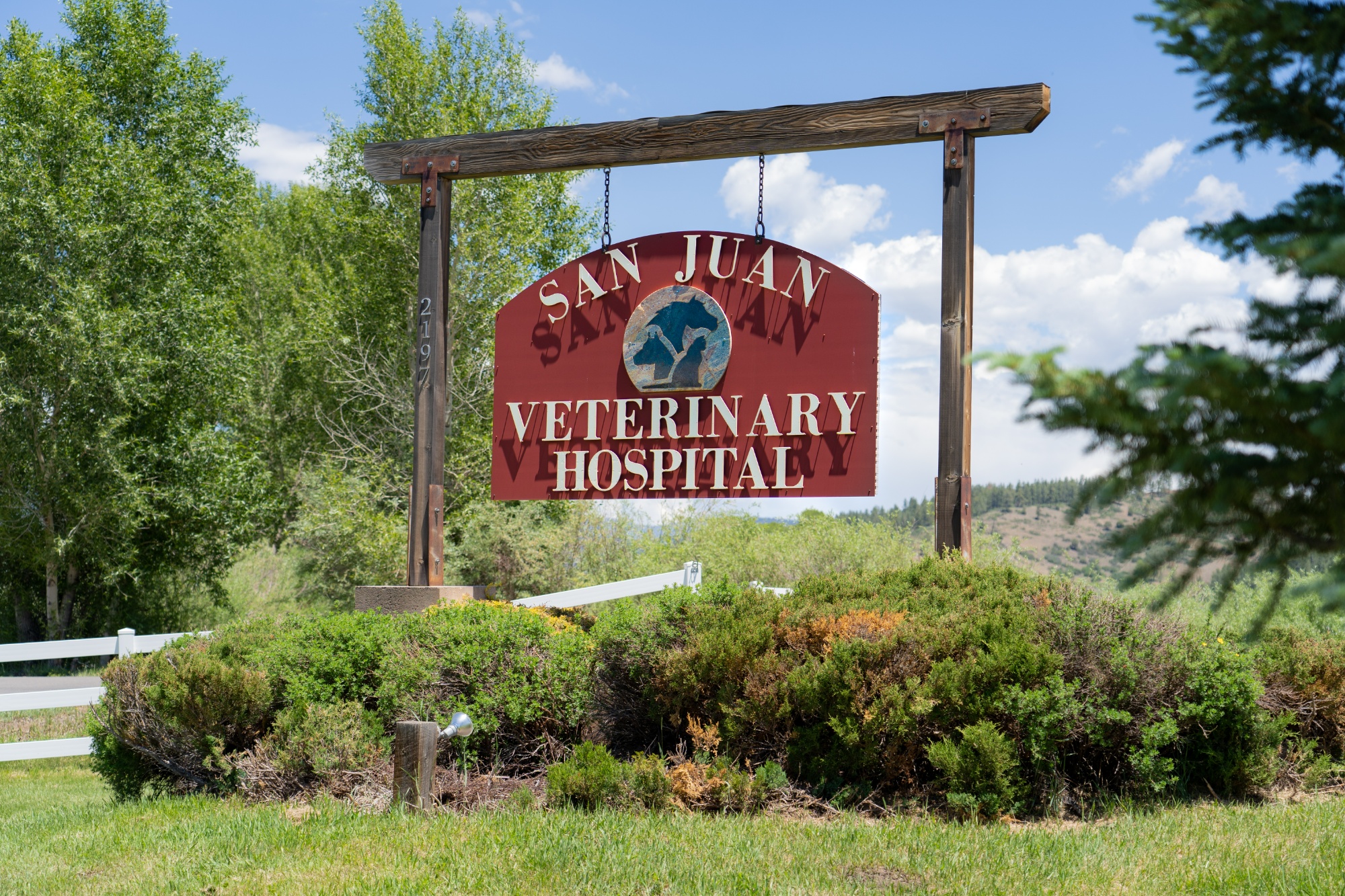 San Juan Veterinary Hospital photo