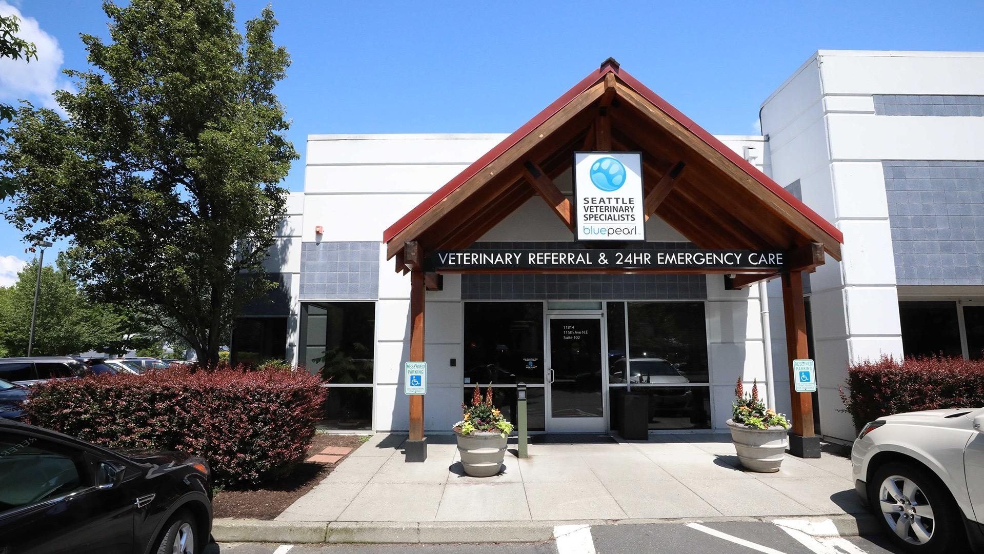 Seattle Veterinary Specialists photo