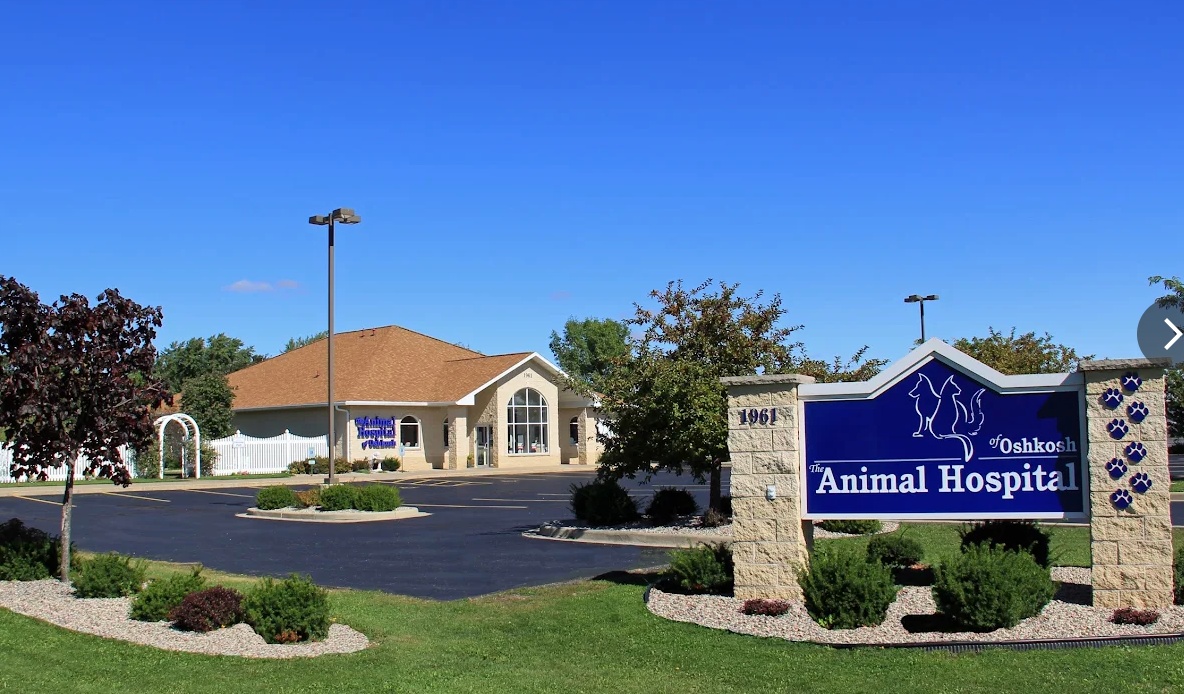 Animal Hospital of Oshkosh photo