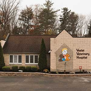 Vestal Veterinary Hospital photo