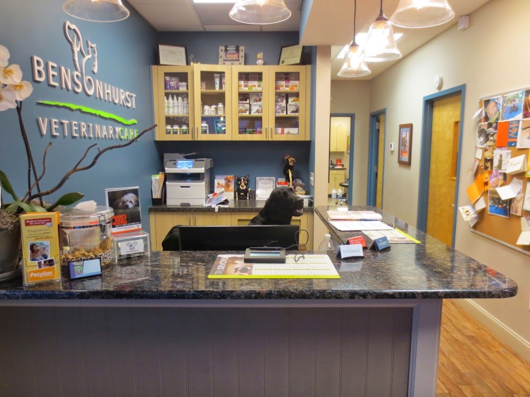 Bensonhurst Veterinary Care photo