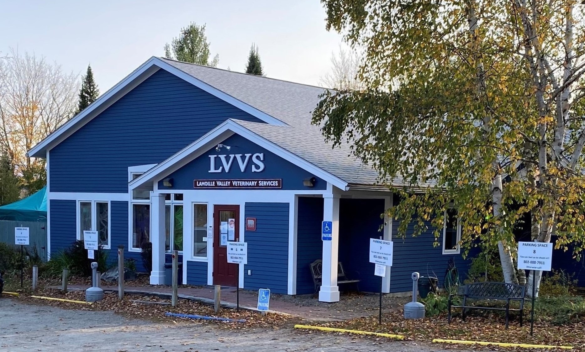 Lamoille Valley Veterinary Services photo
