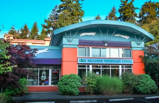 Cats Exclusive Veterinary Center photo