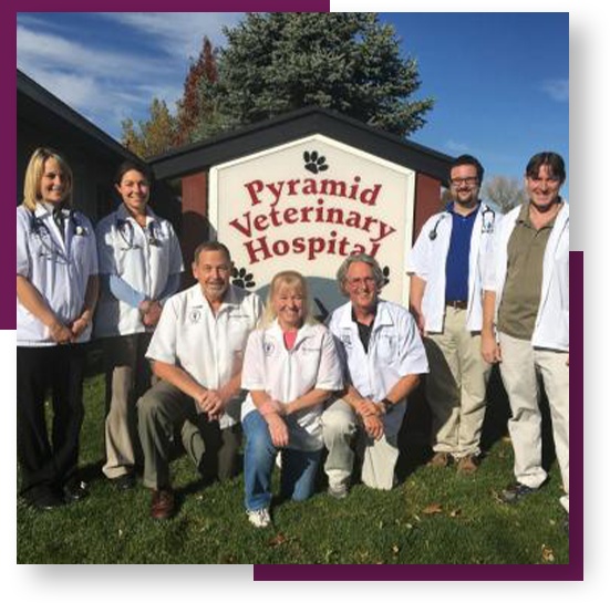 Pyramid Veterinary Hospital photo