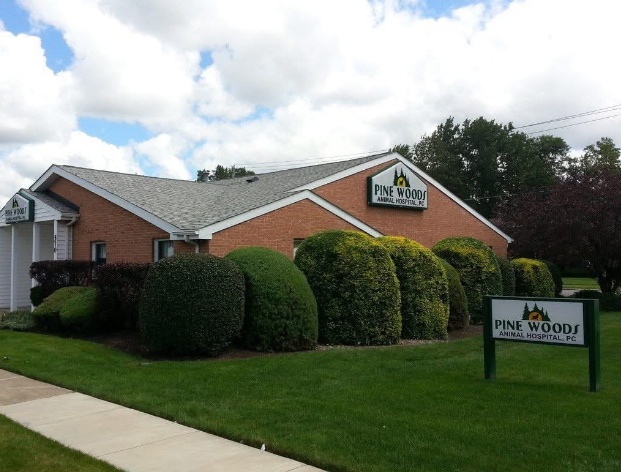 Pine Woods Animal Hospital photo