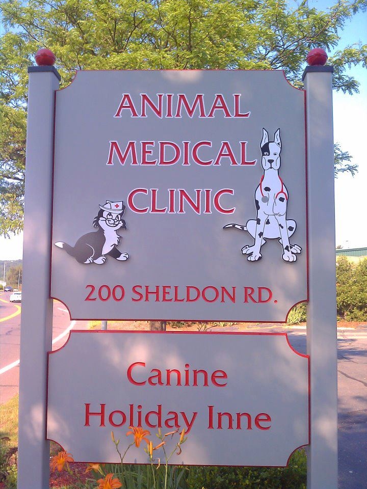Animal Medical Clinic of Connecticut photo