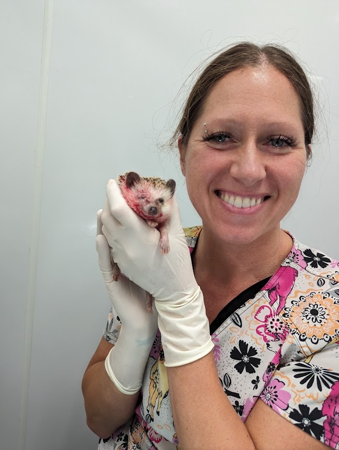 Chico Pet Vet photo