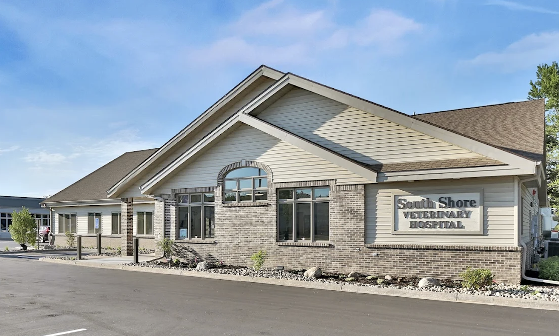 South Shore Veterinary Hospital photo