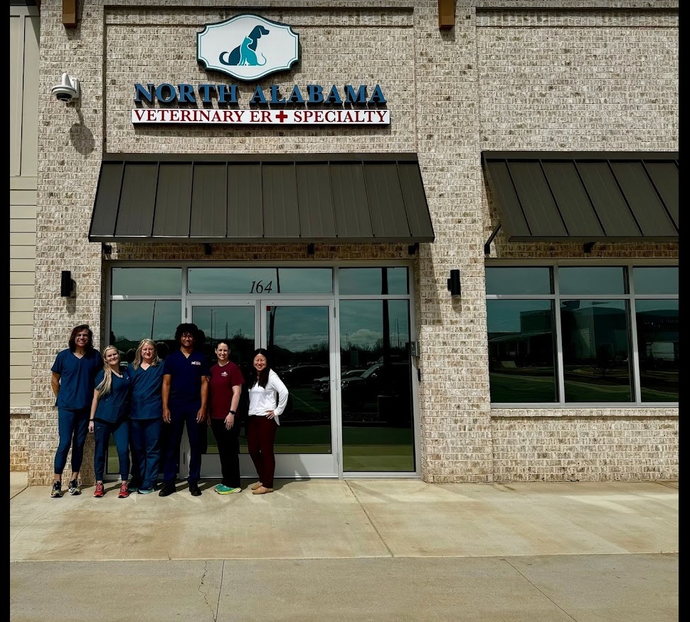 North Alabama Veterinary Emergency & Specialty (NAVES) photo