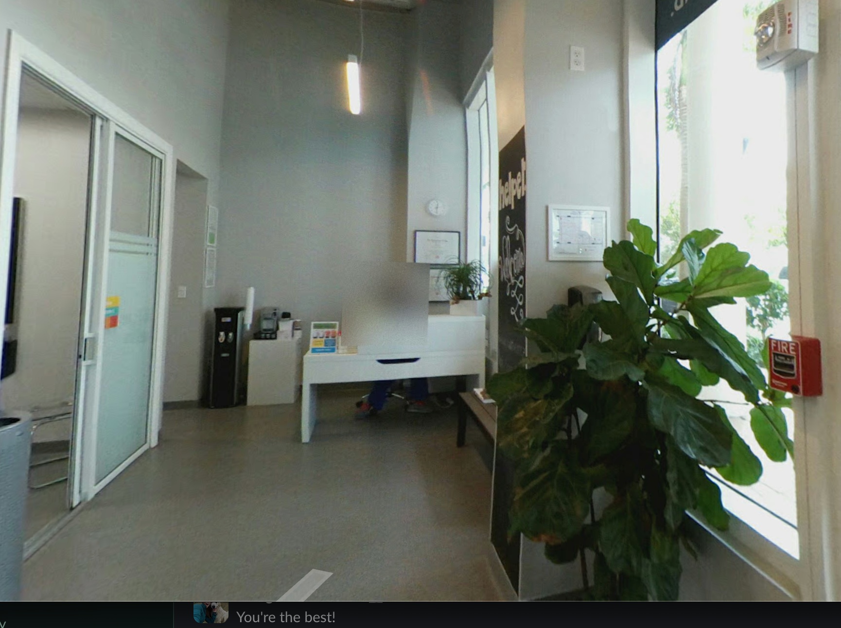 Helpet Veterinary Center photo