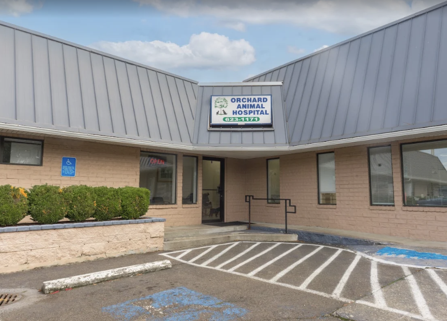 Orchard Animal Hospital photo